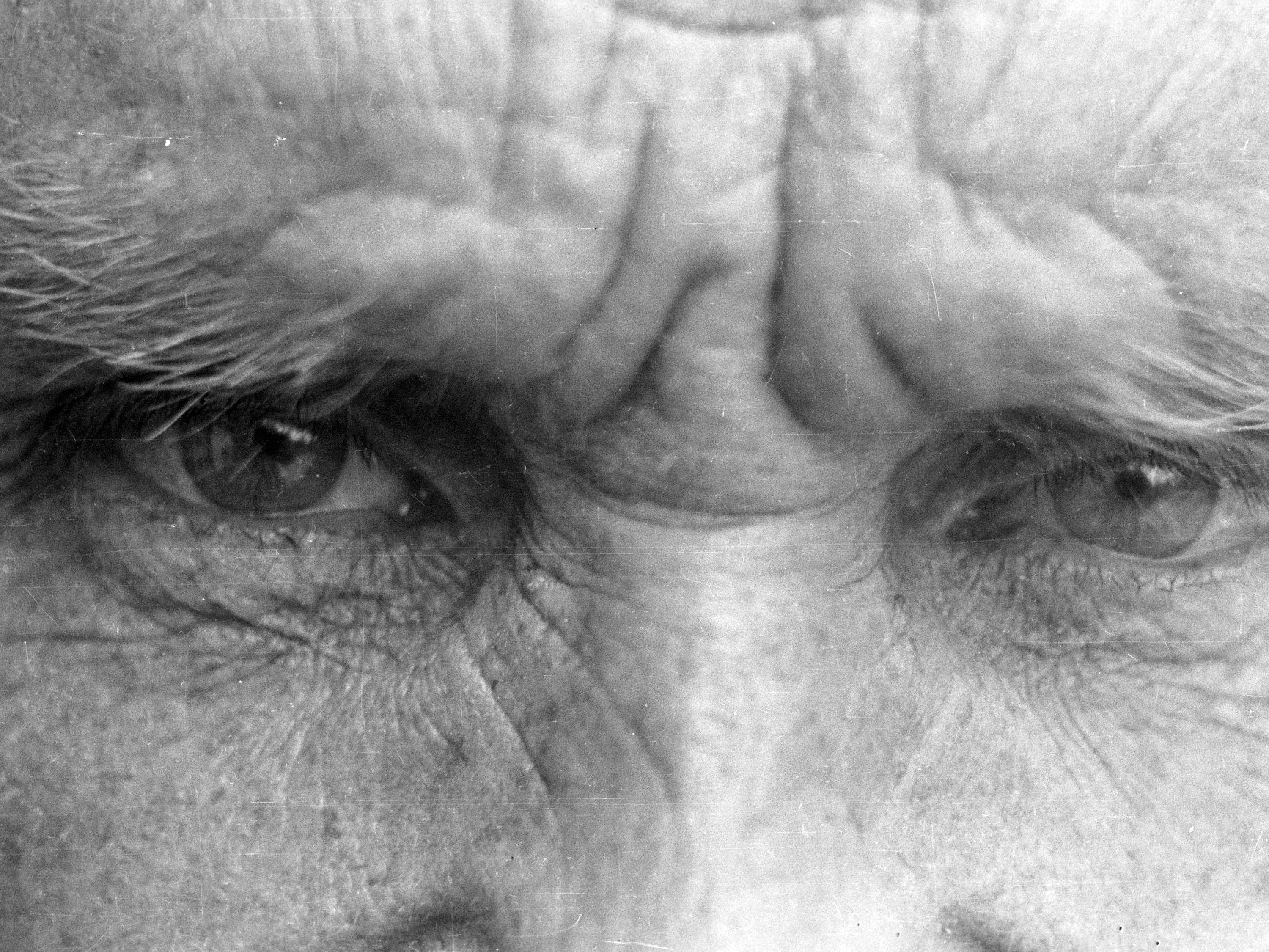 Een blik in het fotografisch archief van Stijn Streuvels met de expo Oogen die kijken