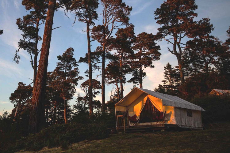 Mendocino Grove, Mendocino, CA