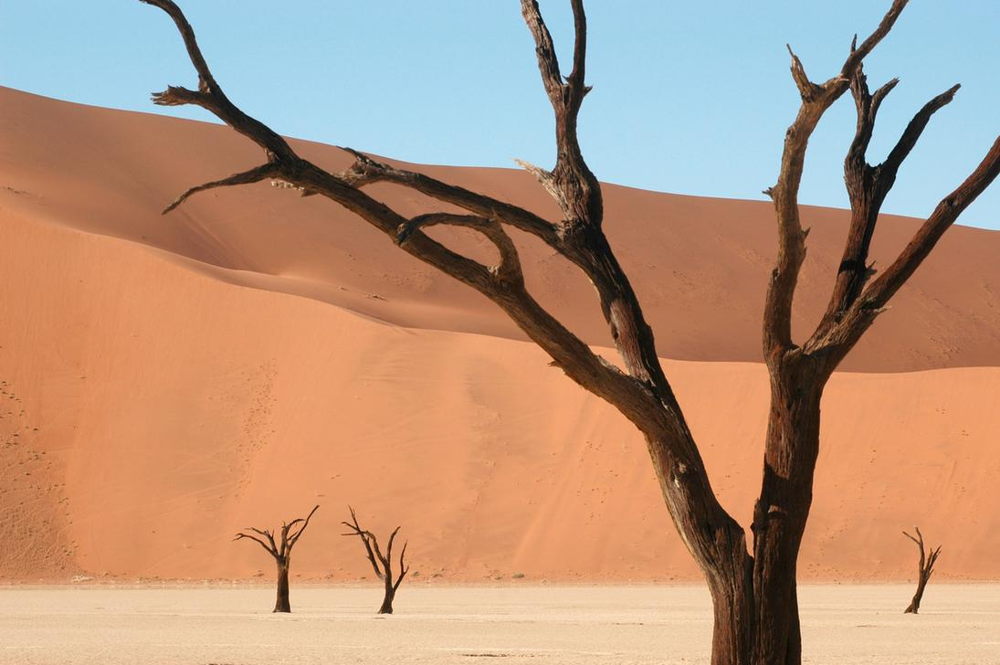 Deadvlei with dead trees, Namibia, 2005. AKG1848014 © akg-images / african.pictures / Graeme Williams / South Photos