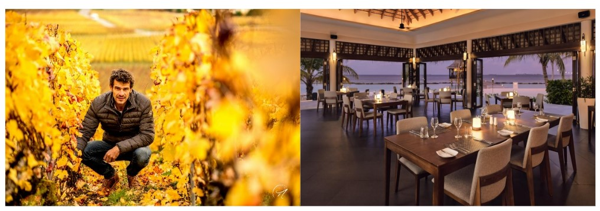 Nova Maldives set to hold three-day event with the visit of the highly acclaimed Champagne house Nicolas Maillart  