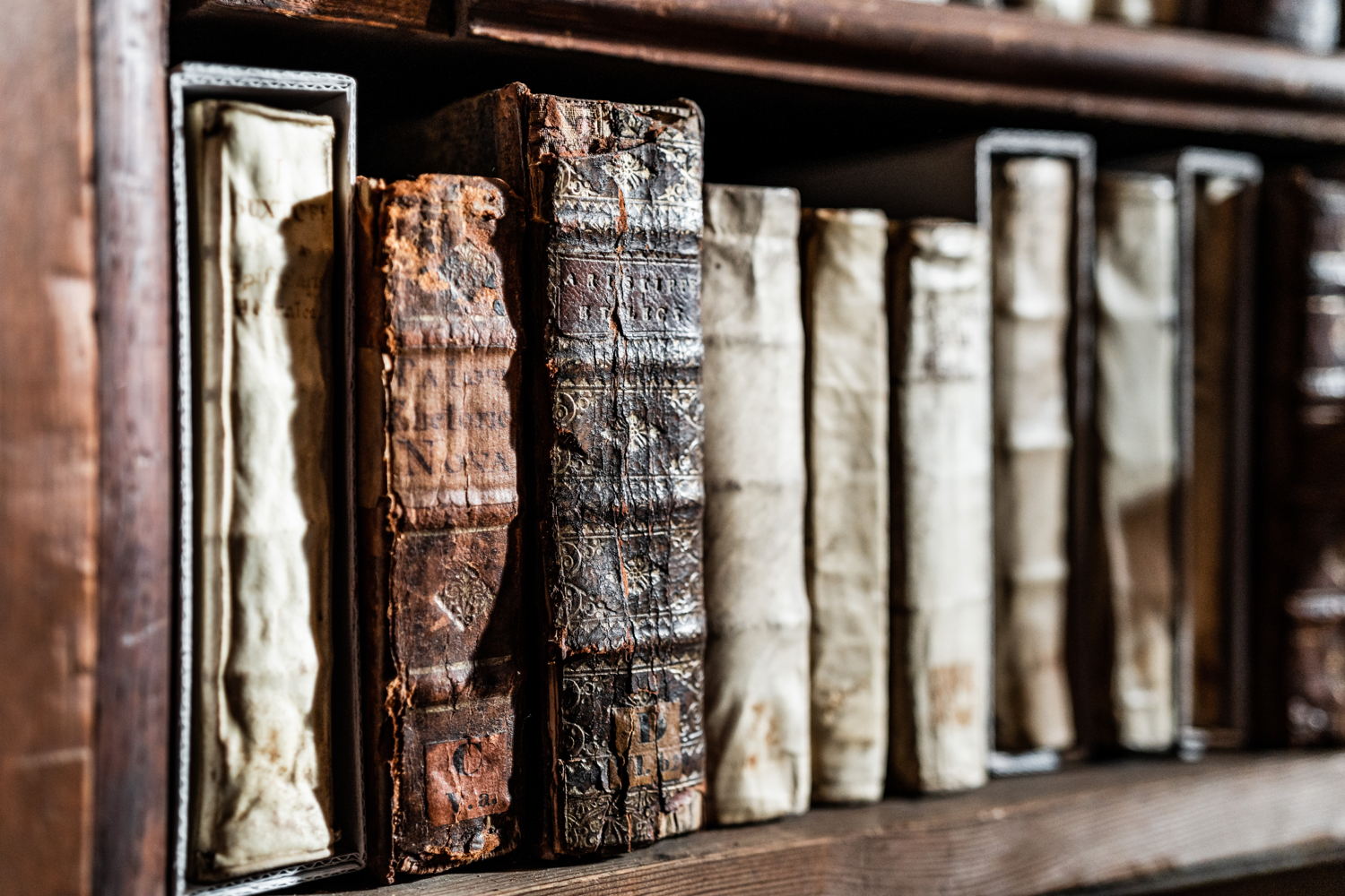 Nottebohmzaal van de Erfgoedbibliotheek Hendrik Conscience | Foto: LUCID