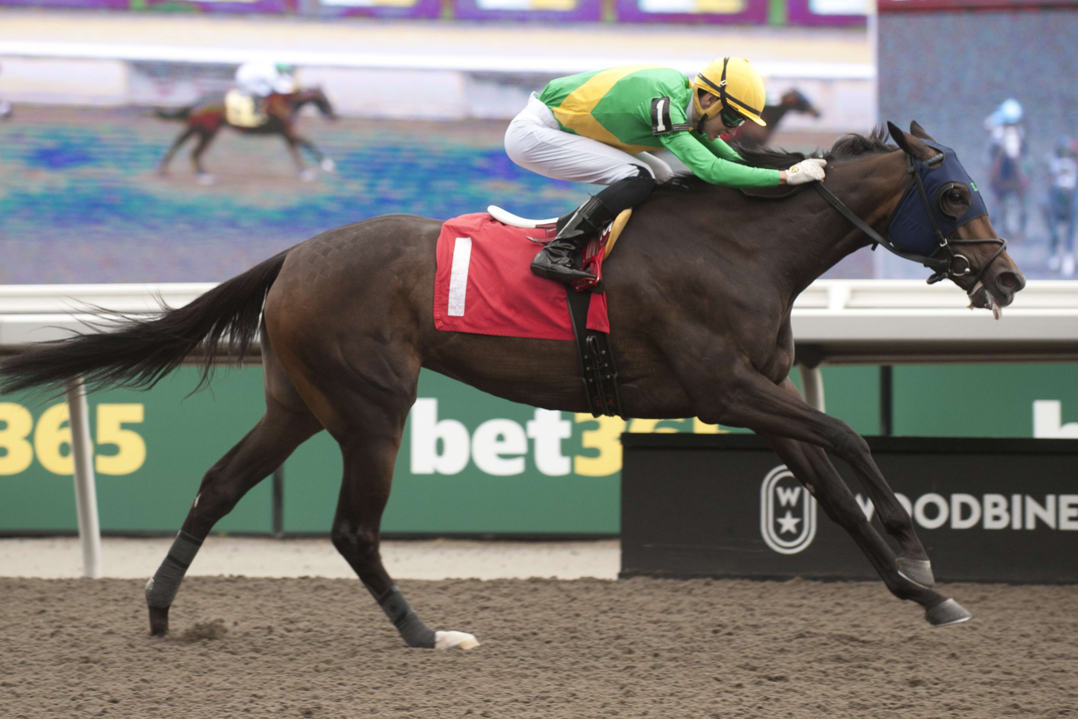 Uphill Dance faces Clement duo Gal in a Rush, Les Reys (FR) in Grade 3 Ontario Fashion / Eight hopefuls chase Ontario Damsel top prize