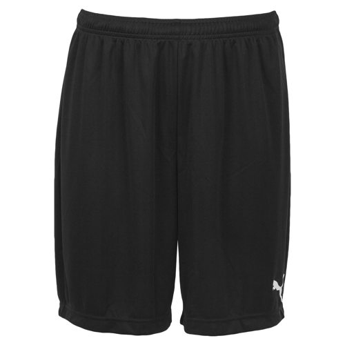 Puma available at Bristol