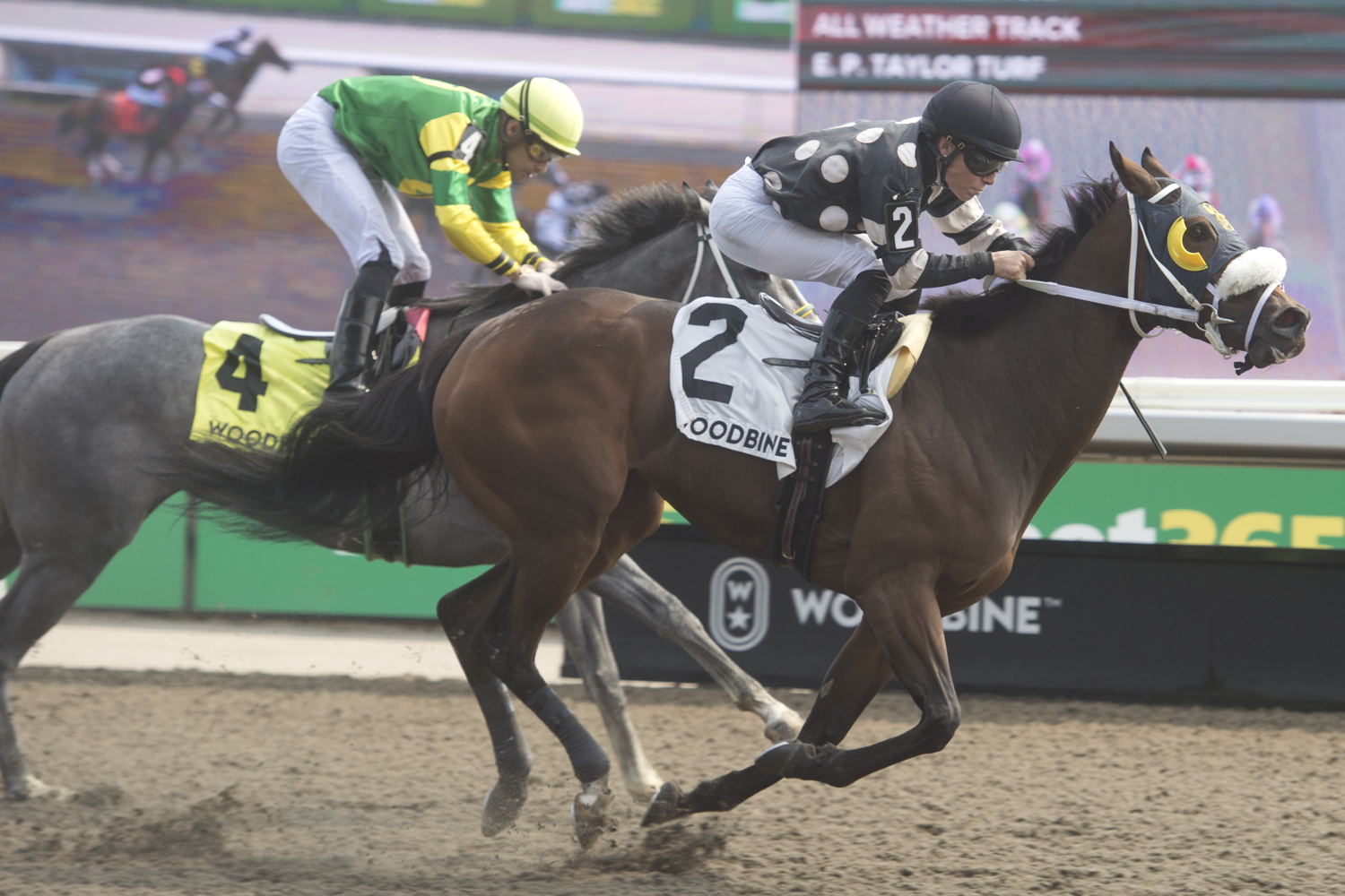 Just Follow Me and jockey Emma-Jayne Wilson winning the Algoma Stakes on August 25, 2024 at Woodbine (Michael Burns Photo)