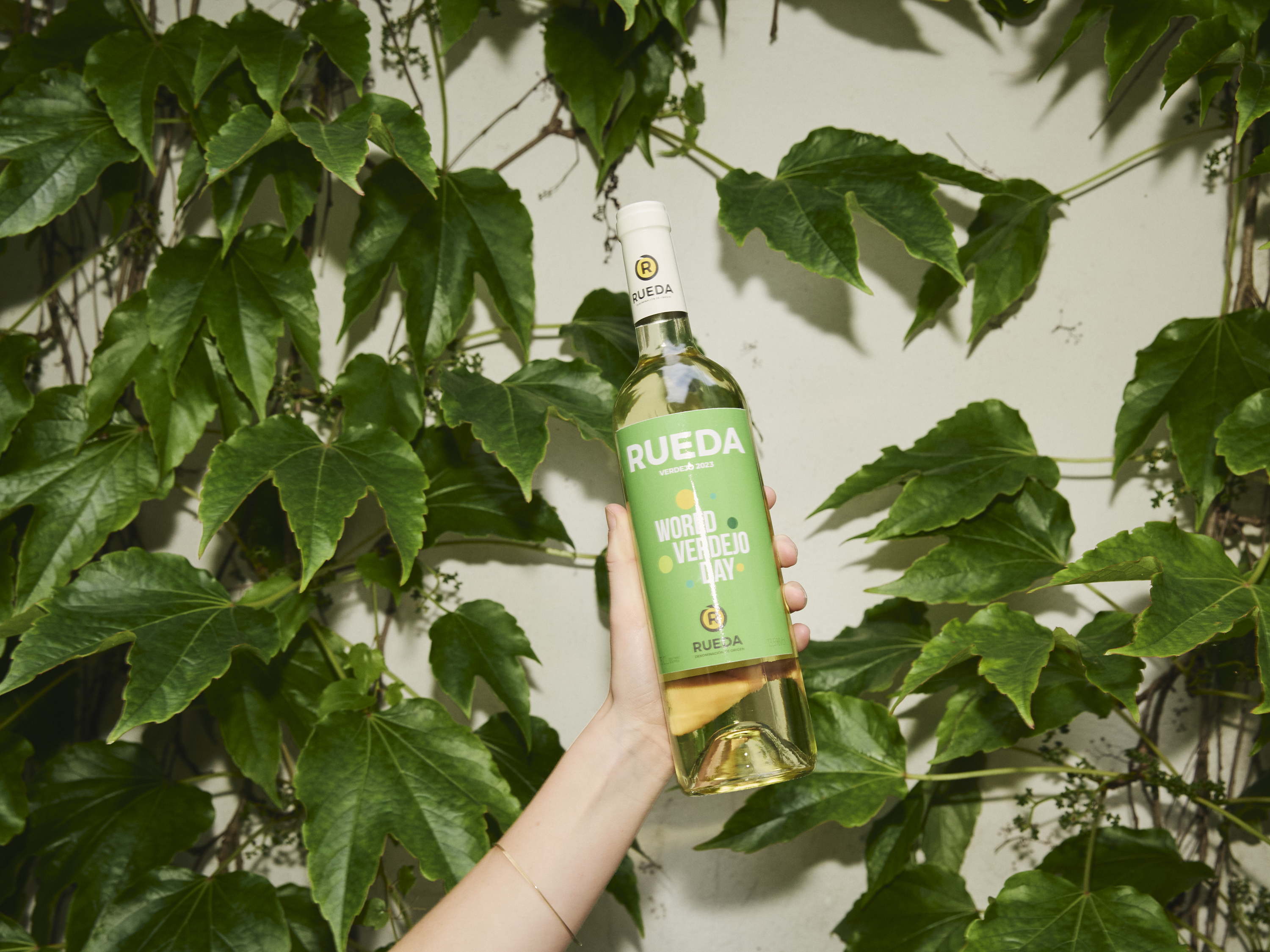Happy World Verdejo Day