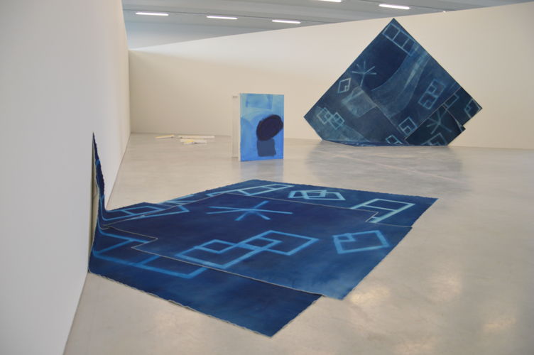 Jessica warboys. Cyanotype Motion Mesh en Boxpainting, 2014 (c) M - Museum Leuven