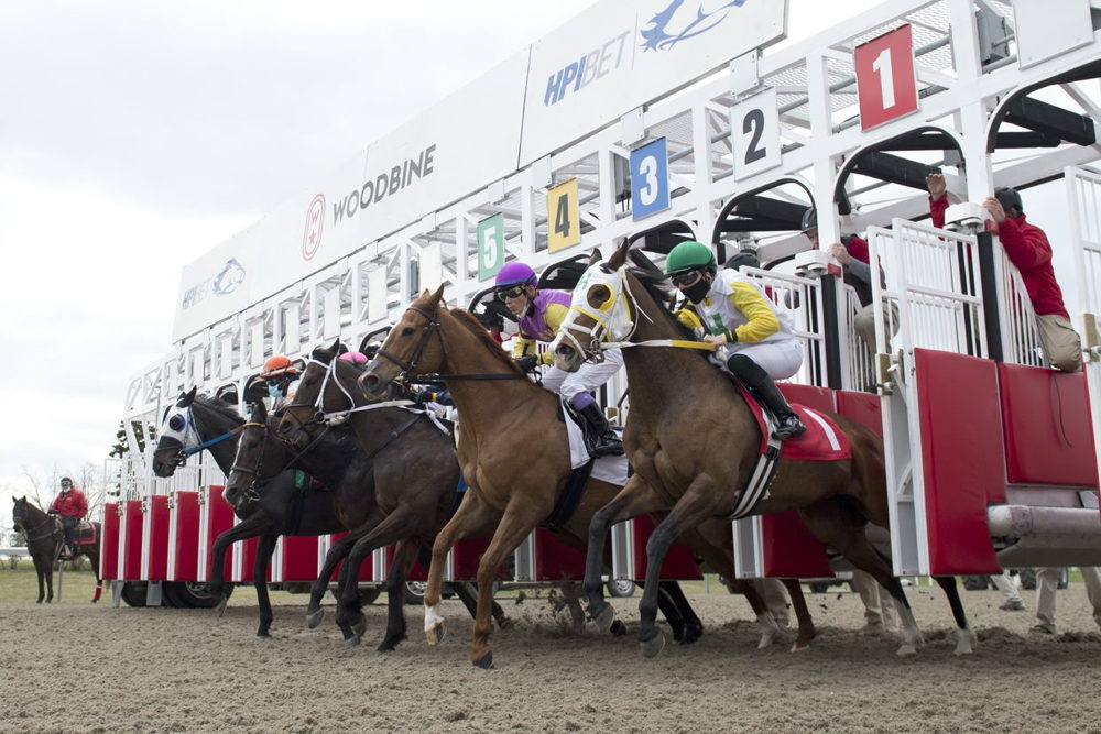 Opening Day at Woodbine Racetrack 2022 is a success as the thoroughbred's bring racing back to Toronto. (Michael Burns Photo)