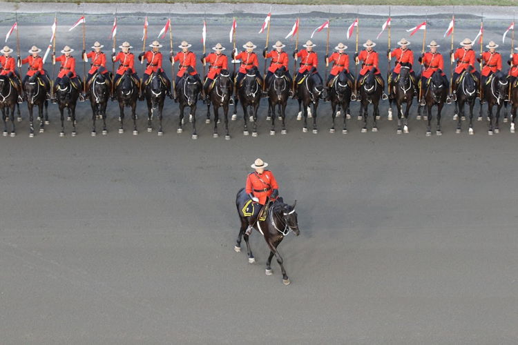 The RCMP Musical Ride performing at Woodbine Mohawk Park in 2017 (New Image Media)