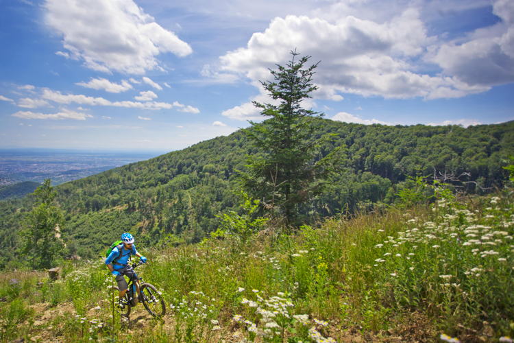 Medvednica (c) Josko Fabri