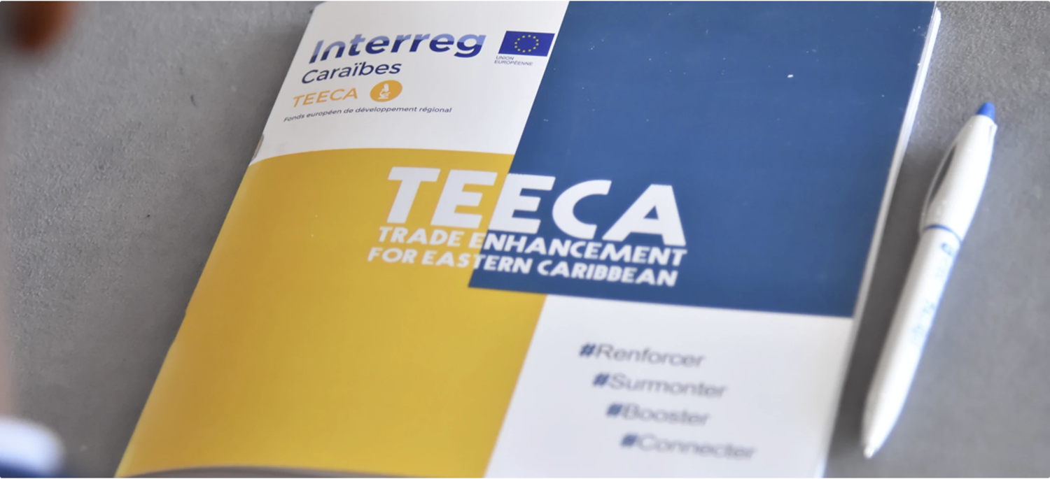 Brochure of the INTERREG Teeca project