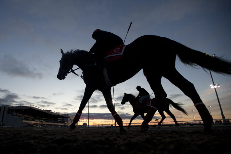 Horses prep for Opening Day 2025 (Michael Burns Photo)