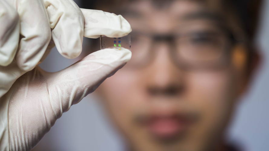 Kai Wang holding a sample that has multiple metasurface camera lenses. Image credit: Lannon Harley, ANU Kai Wang holding a sample that has multiple metasurface camera lenses. Image credit: Lannon Harley, ANU