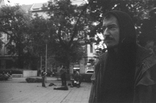 Carrageenan (c) Lucie Pinier