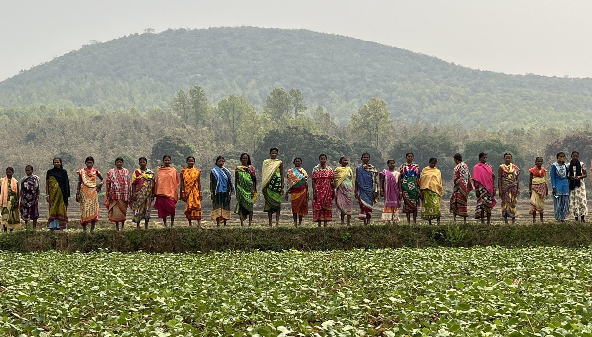 Women Champion Change: Rice-Fallow Cultivation in Odisha