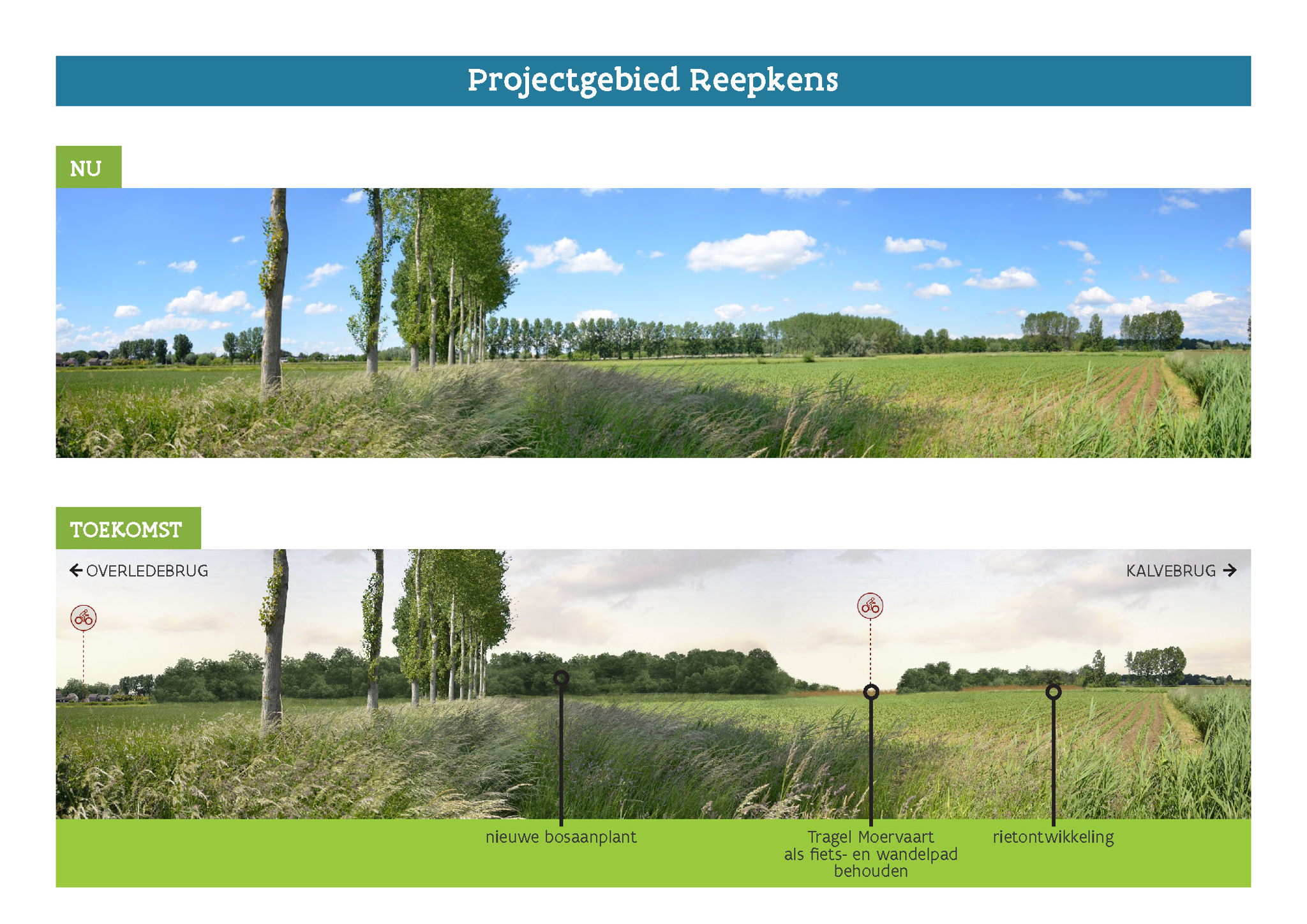 Huidige situatie en toekomstbeeld Reepkens