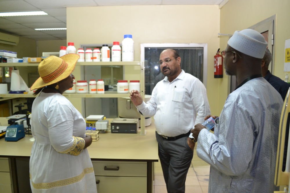 Showcasing the dynamic work being done by the ICRISAT Pathology Lab in Mali
