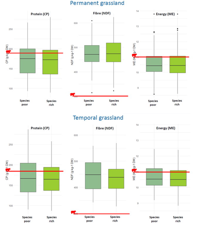Figuur2: Boxplots voor het ruwe eitwit- en vezelgehalte (g/kg droge stof) en de metaboliseerbare energie (MJ/kg droge stof). De rode lijn is een referentiewaarde. ​
De bovenste boxplots zijn voor permanent grasland, de onderste zijn voor niet-permanent grasland. Telkens wordt er vergeleken tussen de soortenrijke (licht groene kleur) en soortenarme percelen (donker groene kleur).