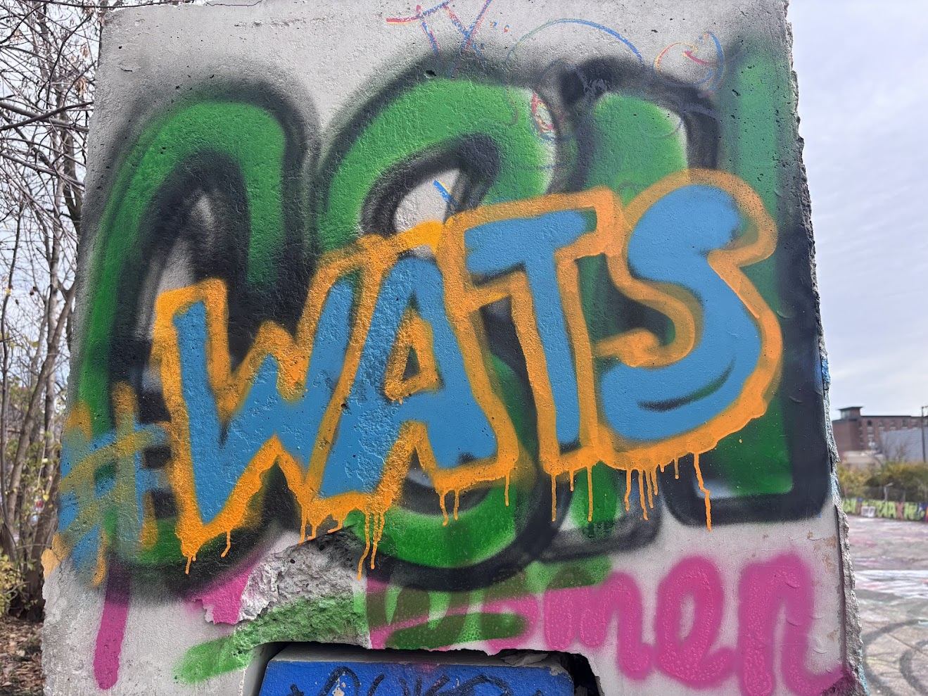 Passport Academy Students "Caught" Spray Painting in Pittsburgh