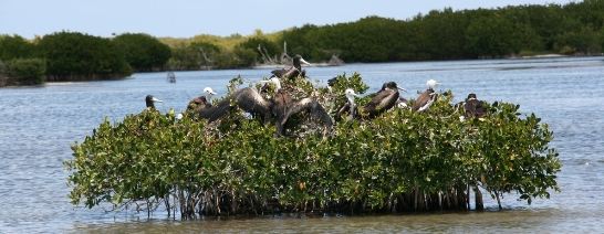 Codrington Lagoon National Park, Antigua & Barbuda