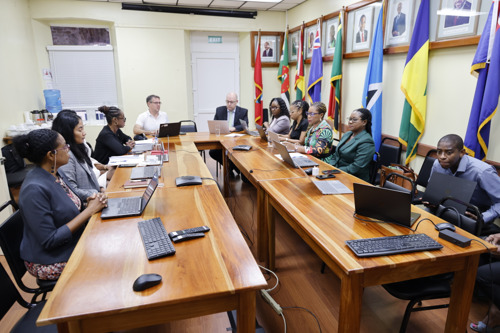 Stakeholder Engagement Session with OECS on EU/ CARIFORUM Climate Change and Health Project and Project Sustainability