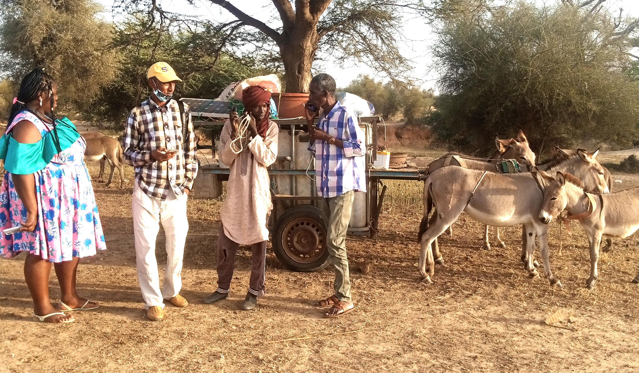 Integrating Satellite Data with Local Knowledge for Community Empowerment 