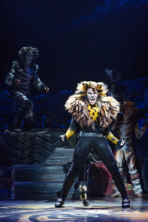 Tyler Hanes as Rum Tum Tugger in CATS on Broadway Photo by Matthew Murphy