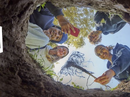 Succesvolle plantacties in het Hobos tijdens Nationale Boomweekend