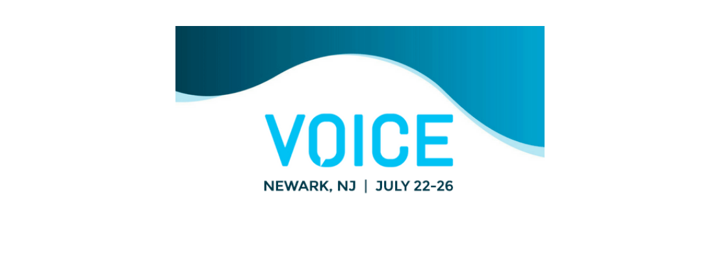 VOICE19 - Header Image 1108 x 400.png