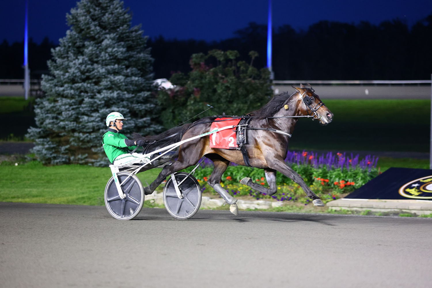 Up Your Deo winning an elimination of the Canadian Trotting Classic. (New Image Media)