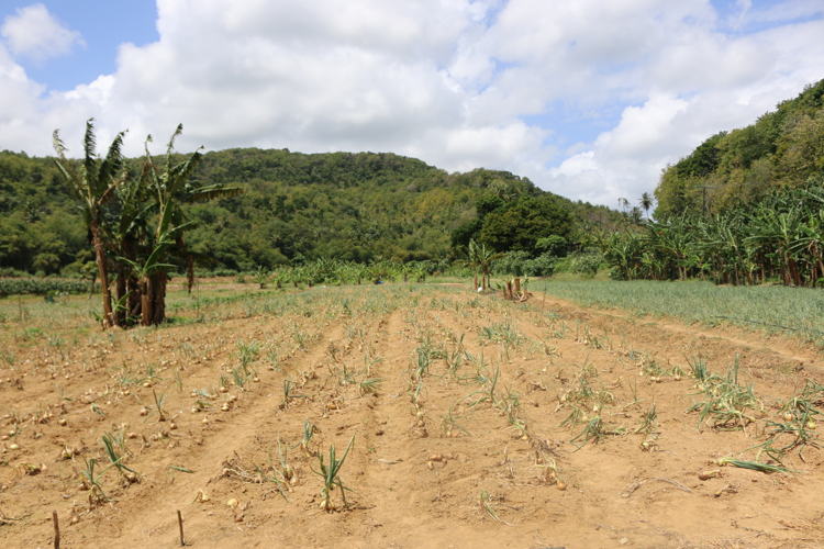 Farm lands bordering the Malgretoute river are at high-risk for flood damages.