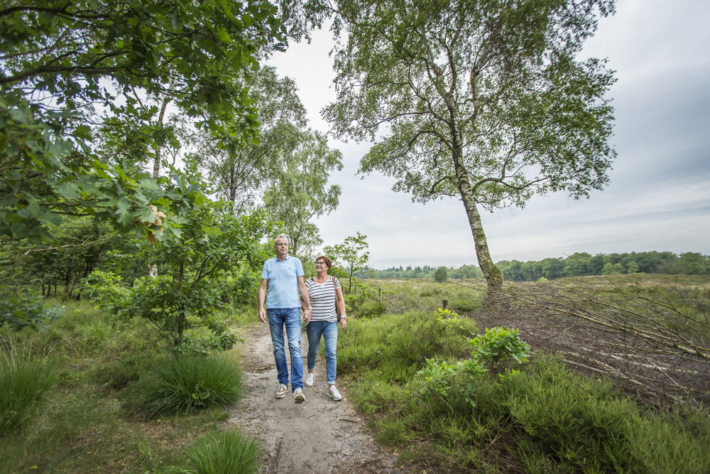 Wandelen op Landal De Amerongse Berg