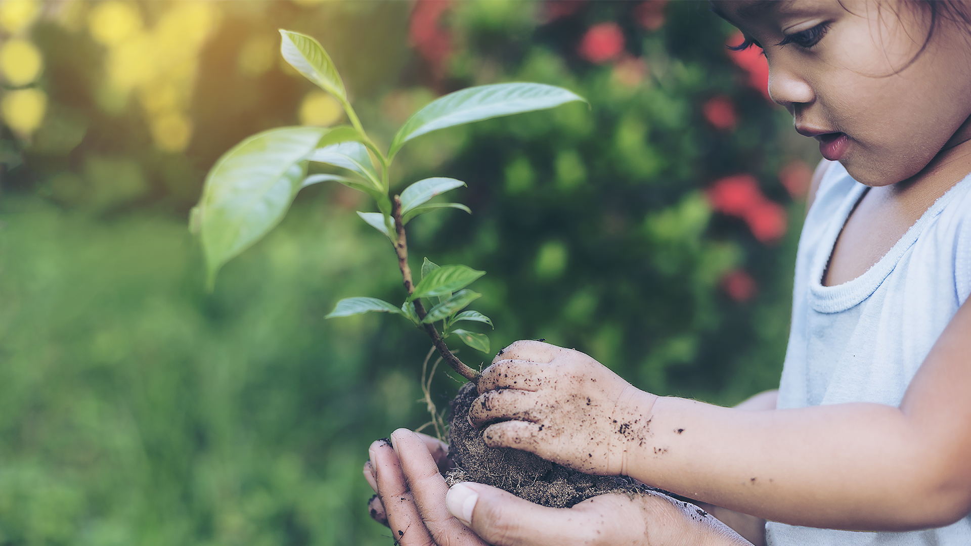 ING Belgique accorde un prêt durable à Fagron
