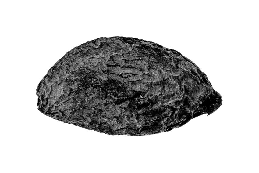 SWPA 2026 -​ ​finali�ci i zdobywcy wyr�nie� ​w konkursie profesjonalnym