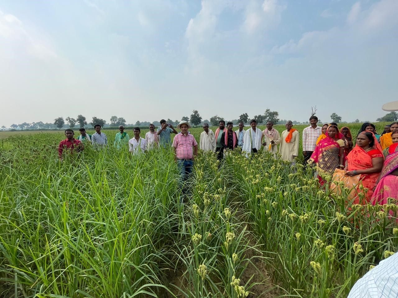 Women have been major beneficiaries of farmer field demonstrations and training