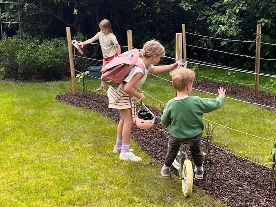 Buitenspelen 2.0: wat kinderen écht nodig hebben in eigen tuin