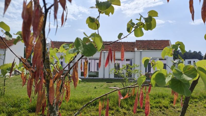 Landal Eksel: genieten in Belgisch Limburg