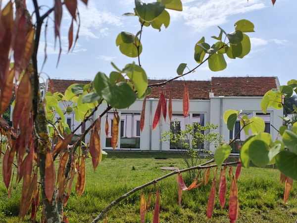 Landal Eksel: genieten in Belgisch Limburg