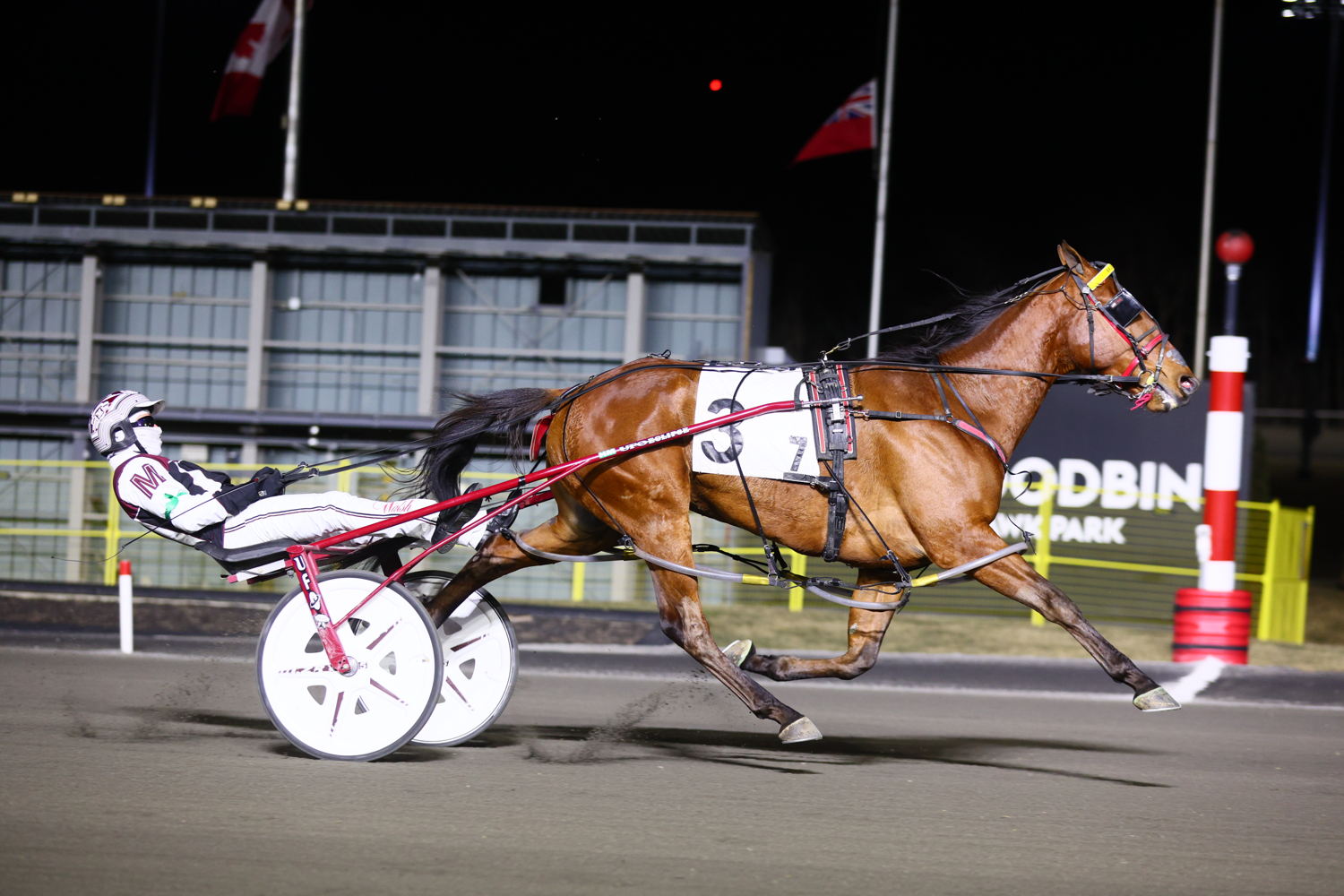 Brue Hanover winning the second leg of the 2025 New Holland Pacing Series at Woodbine Mohawk Park (New Image Media)
