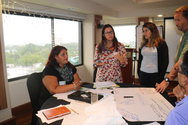 Civil society sets priorities to support management of shared marine resources in the Caribbean and North Brazil Shelf Large Marine Ecosystems