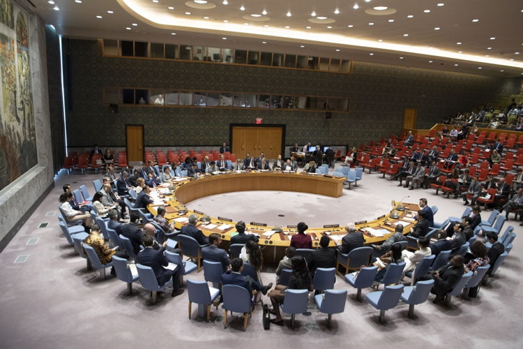 United Nations Security Council