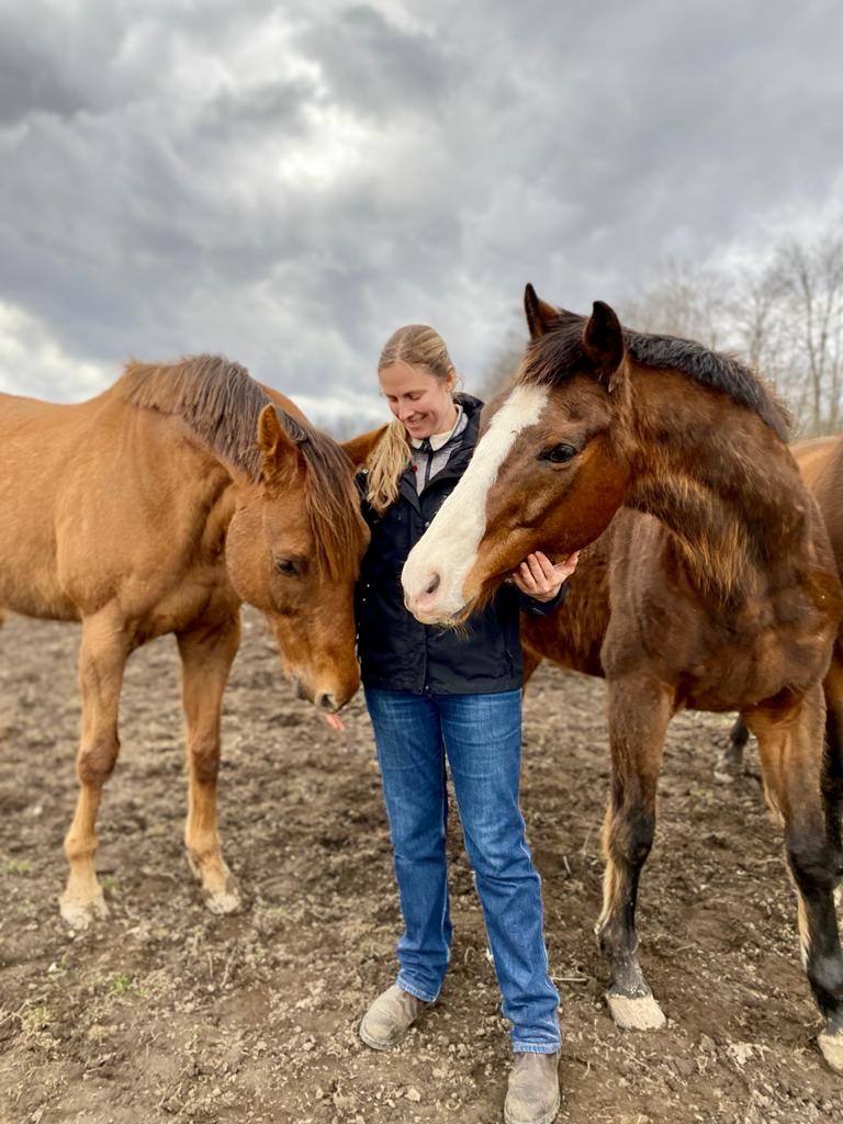 Saratoga Boy (R) shares retirement with Ports N Porsches (L) at LongRun. (Photo by Julie Belanger)