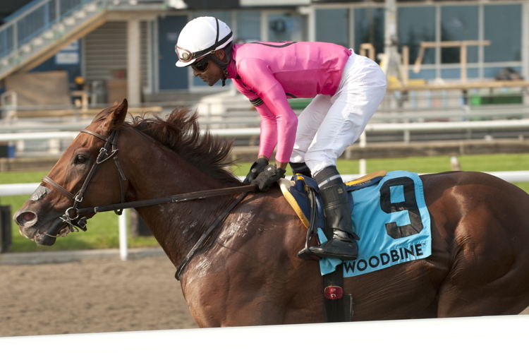 Paramount Prince and jockey Patrick Husbands winning the Seagram Cup (G2) on July 27, 2024 at Woodbine (Michael Burns Photo)