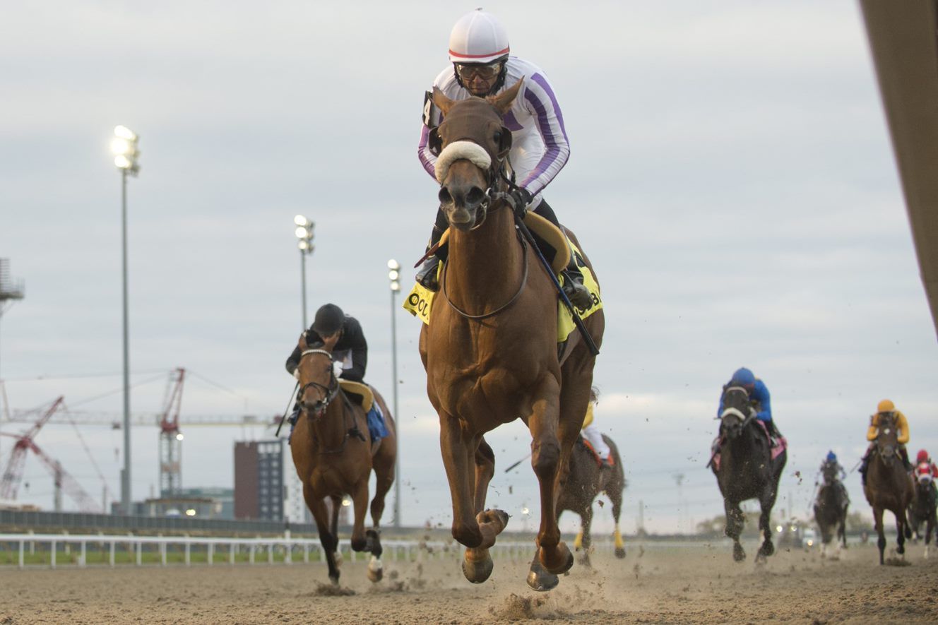 Dreaming of Drew and Patrick Husbands winning the 2020 Princess Elizabeth Stakes at Woodbine. (Michael Burns Photo) Dreaming of Drew and Patrick Husbands winning the 2020 Princess Elizabeth Stakes at Woodbine. (Michael Burns Photo)