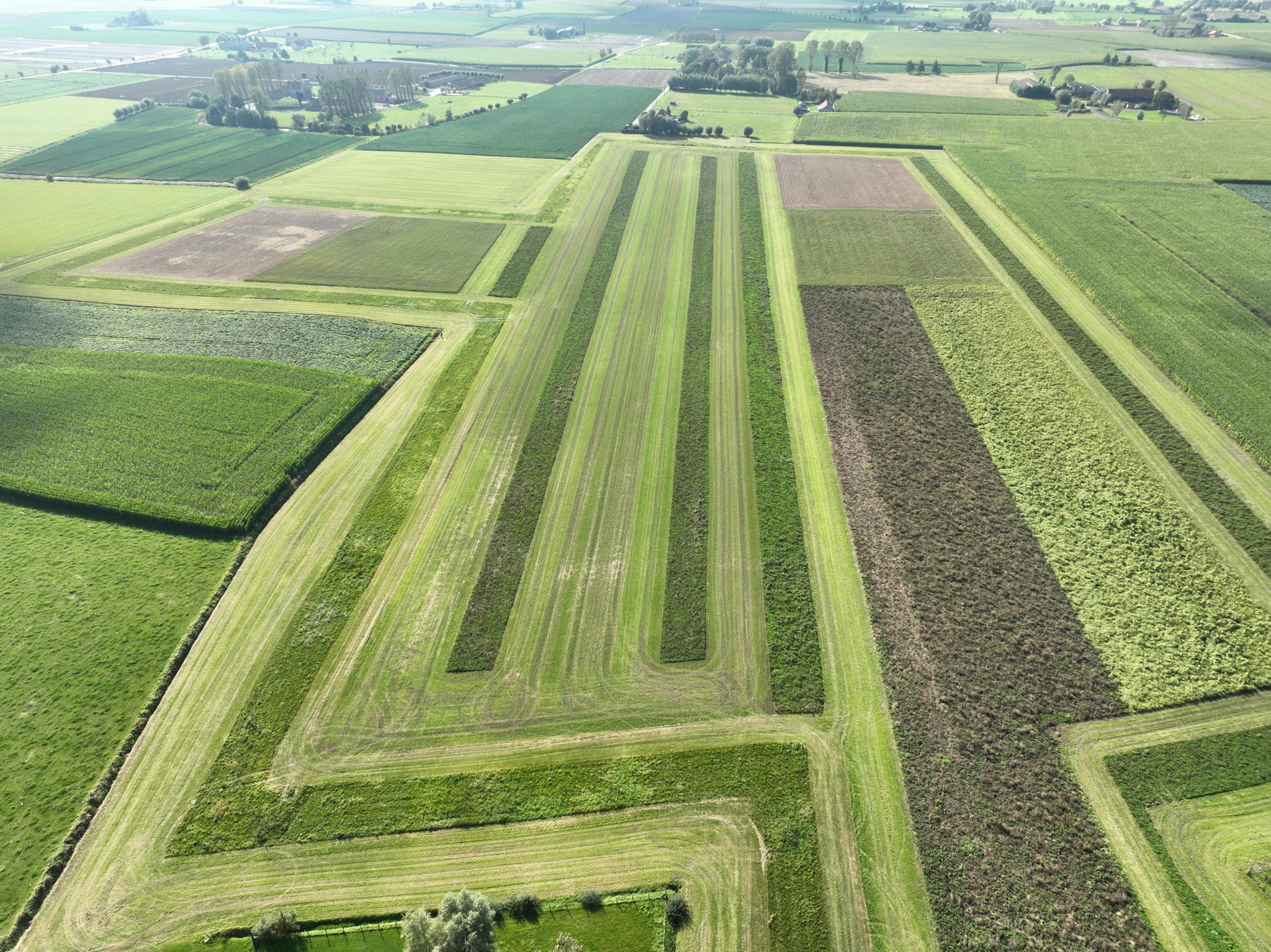 Een landbouwperceel in Veurne met verschillende beheerovereenkomsten voor soortenbescherming ​
©Vlaamse Landmaatschappij, Tom Lagaeysse