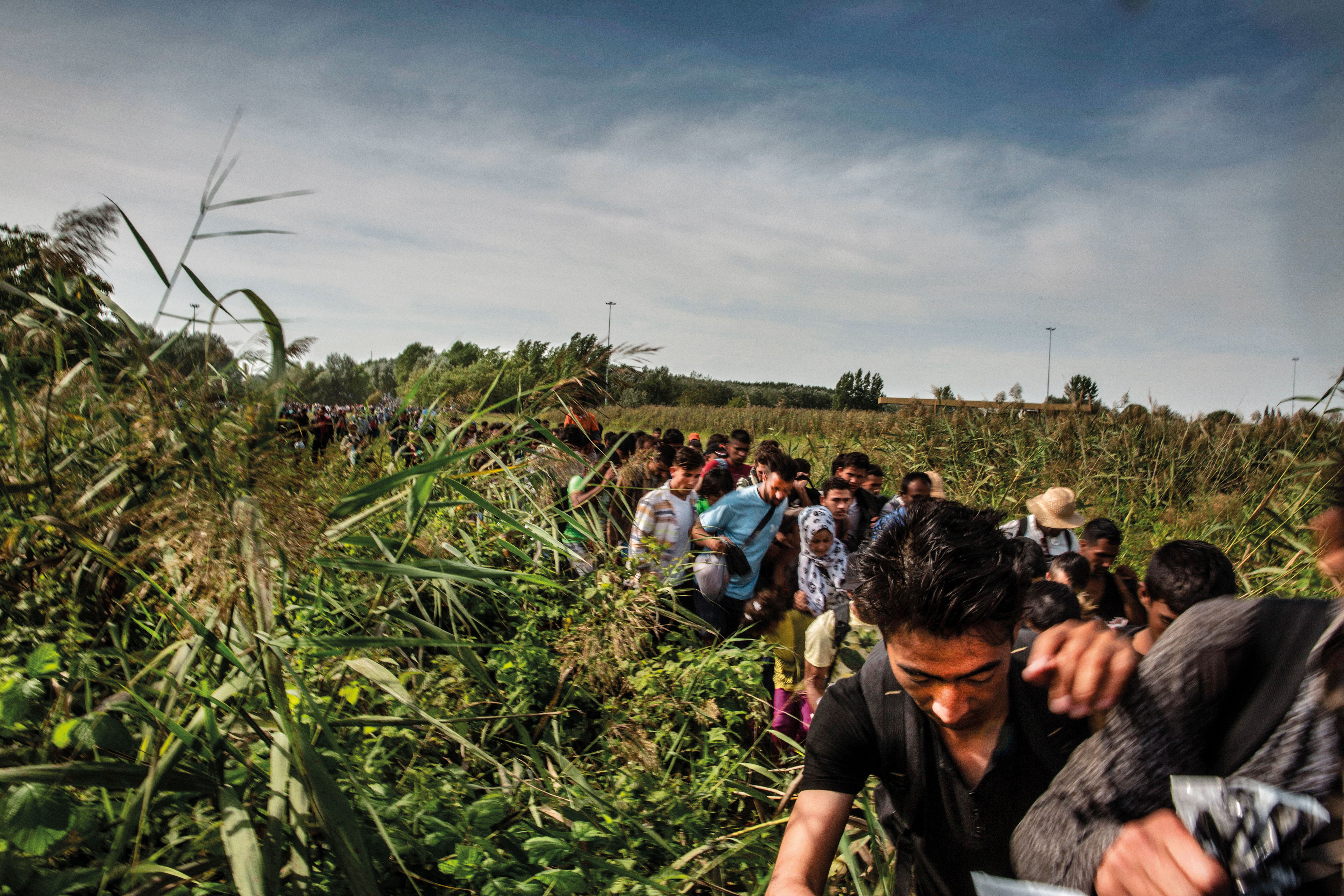 Migrantes en la frontera de Hungría con Serbia. Juan Carlos Tomasi/MSF Migrantes en la frontera de Hungría con Serbia. Juan Carlos Tomasi/MSF