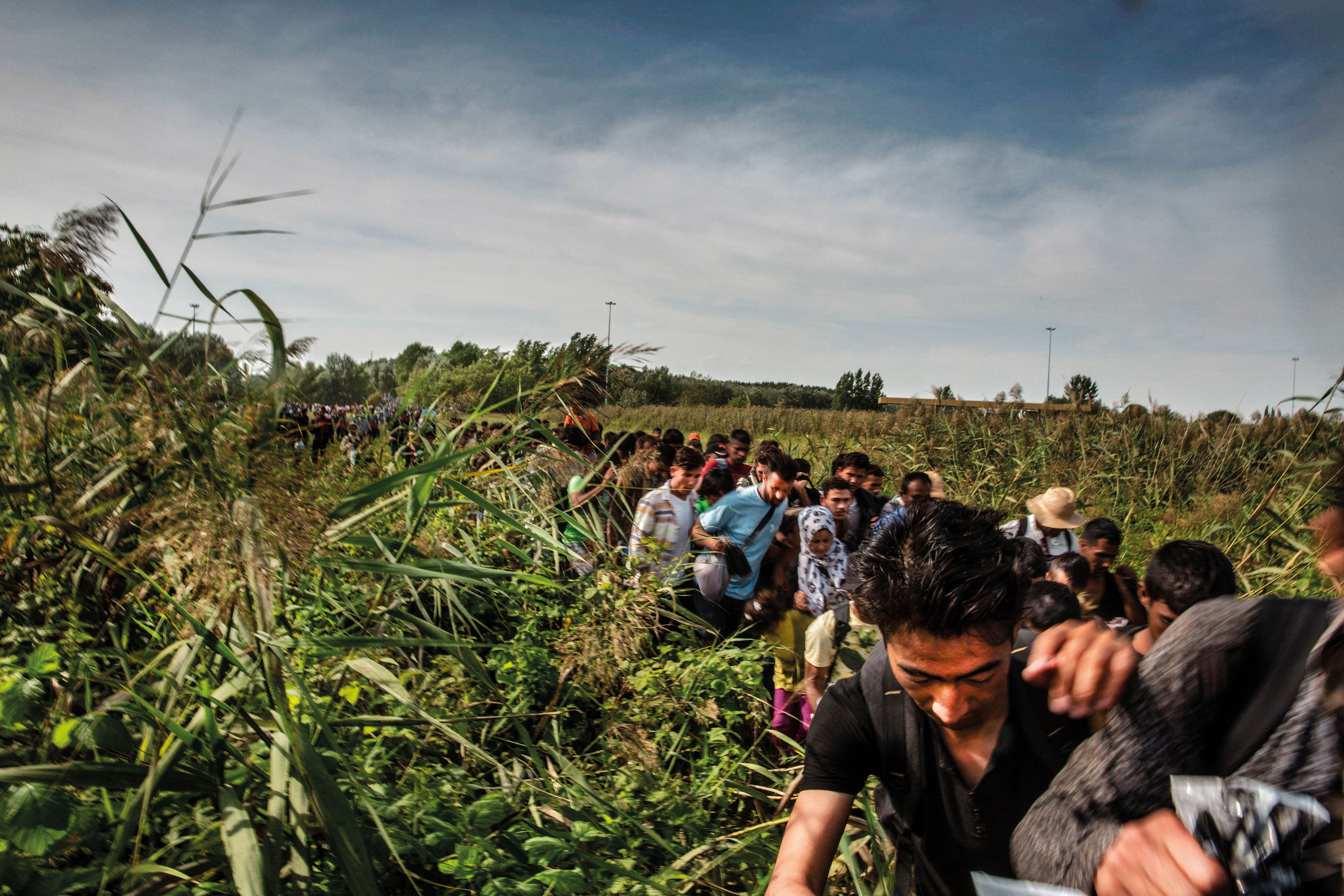 Migrantes en la frontera de Hungría con Serbia. ​ Juan Carlos Tomasi/MSF