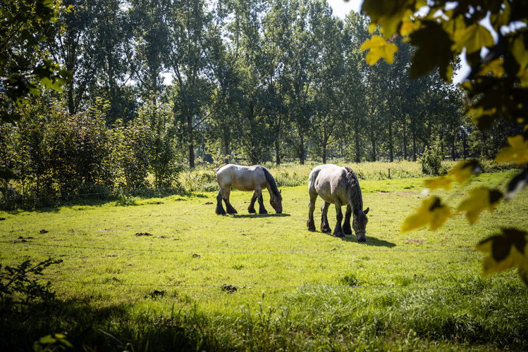 Van Gogh Wandelroute Nuenen
