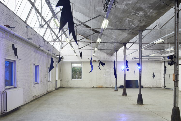 11. Installation view of Tarek Lakhrissi, HORN IS A THORN IS A HORN, at Horst, Flying on the Raven's Wing, 2021. Image by Matthijs van der Burgt