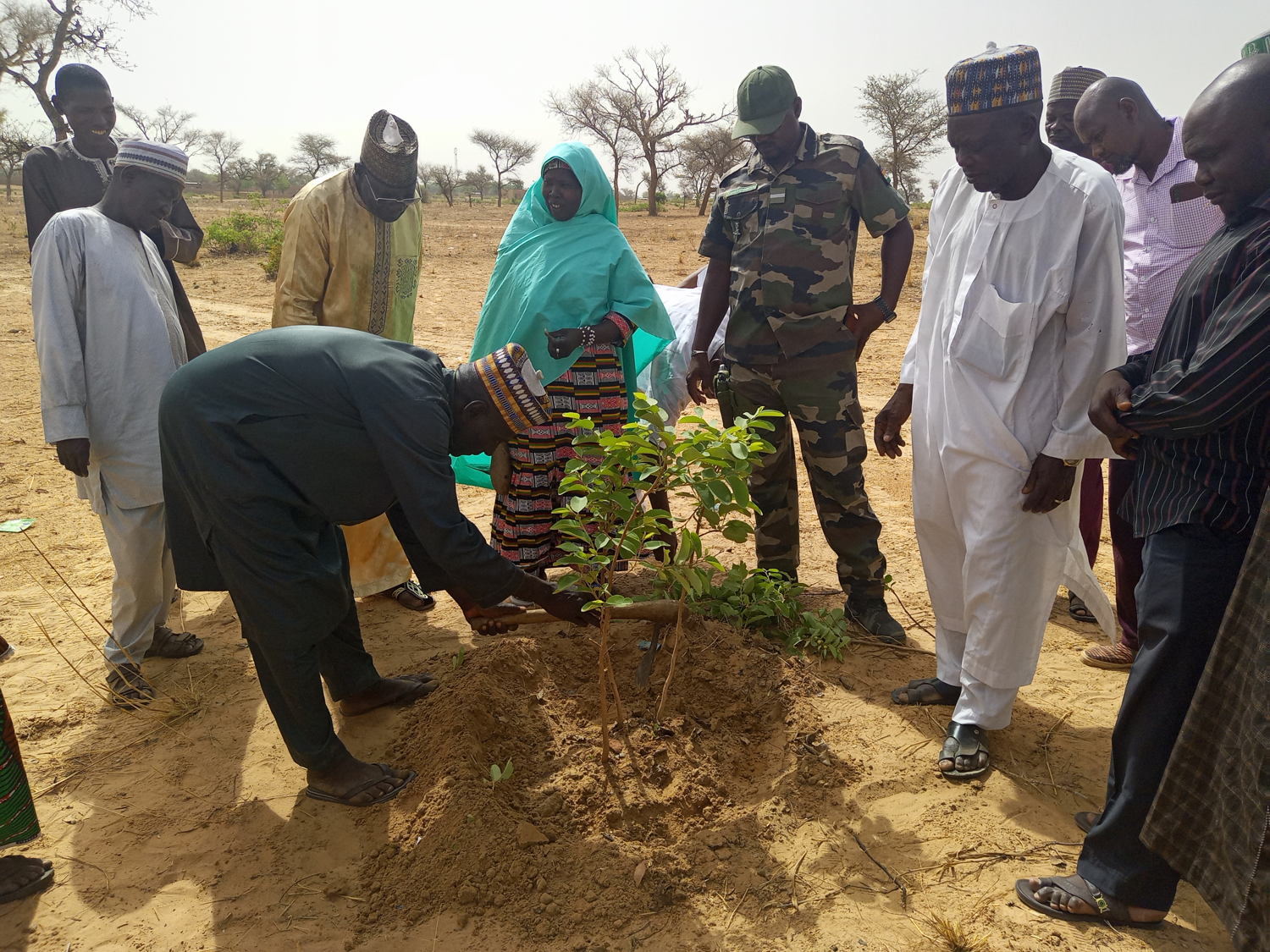 Training for FMNR Committee Members in Bandé Commune, Zinder Region. 