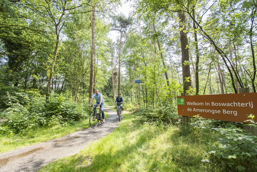 Wandelen Landal Amerongse Berg